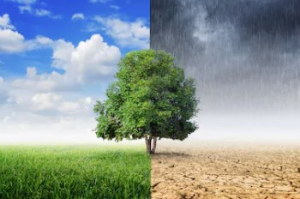 climat